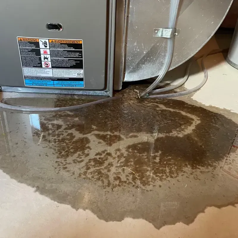 Appliance Leak Cleanup in Cornwall, PA